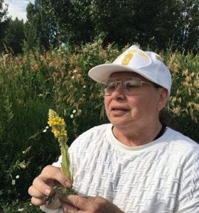 Plant Lady - Robin Kennedy - Wild Edibles